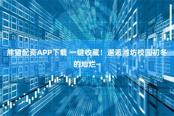 熊猫配资APP下载 一键收藏!邂逅潍坊校园初冬的灿烂~