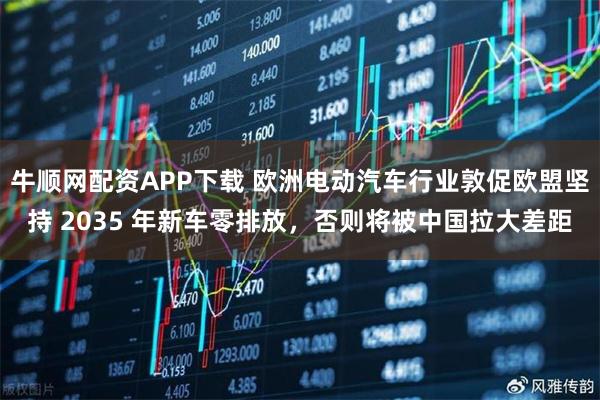 牛顺网配资APP下载 欧洲电动汽车行业敦促欧盟坚持 2035 年新车零排放，否则将被中国拉大差距