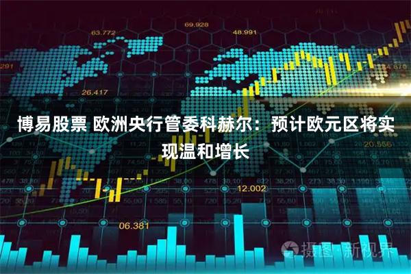 博易股票 欧洲央行管委科赫尔：预计欧元区将实现温和增长
