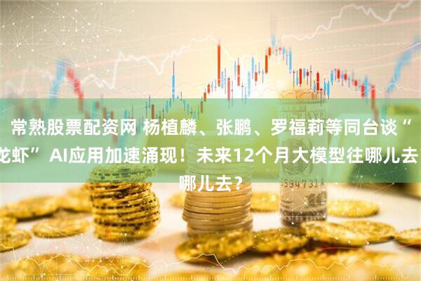 常熟股票配资网 杨植麟、张鹏、罗福莉等同台谈“龙虾” AI应用加速涌现!未来12个月大模型往哪儿去?