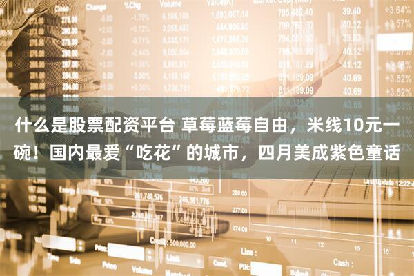 什么是股票配资平台 草莓蓝莓自由，米线10元一碗！国内最爱“吃花”的城市，四月美成紫色童话