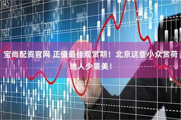 宝尚配资官网 正值最佳观赏期！北京这些小众赏荷地人少景美！